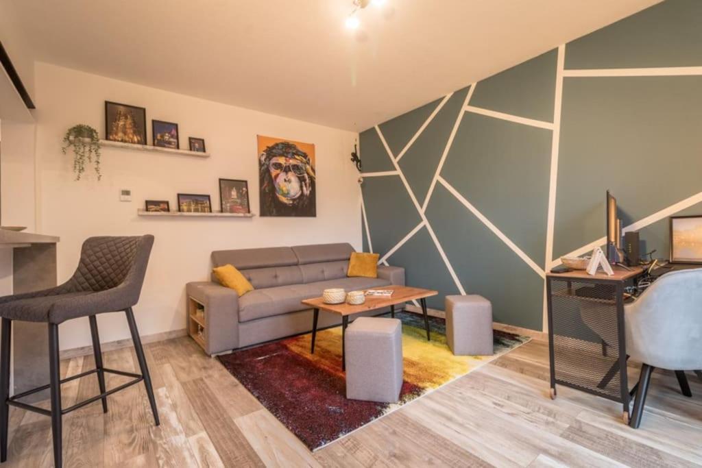 Appartement Le Saver'Zaru, Centre Ville, T2 55M² Saverne Luaran gambar