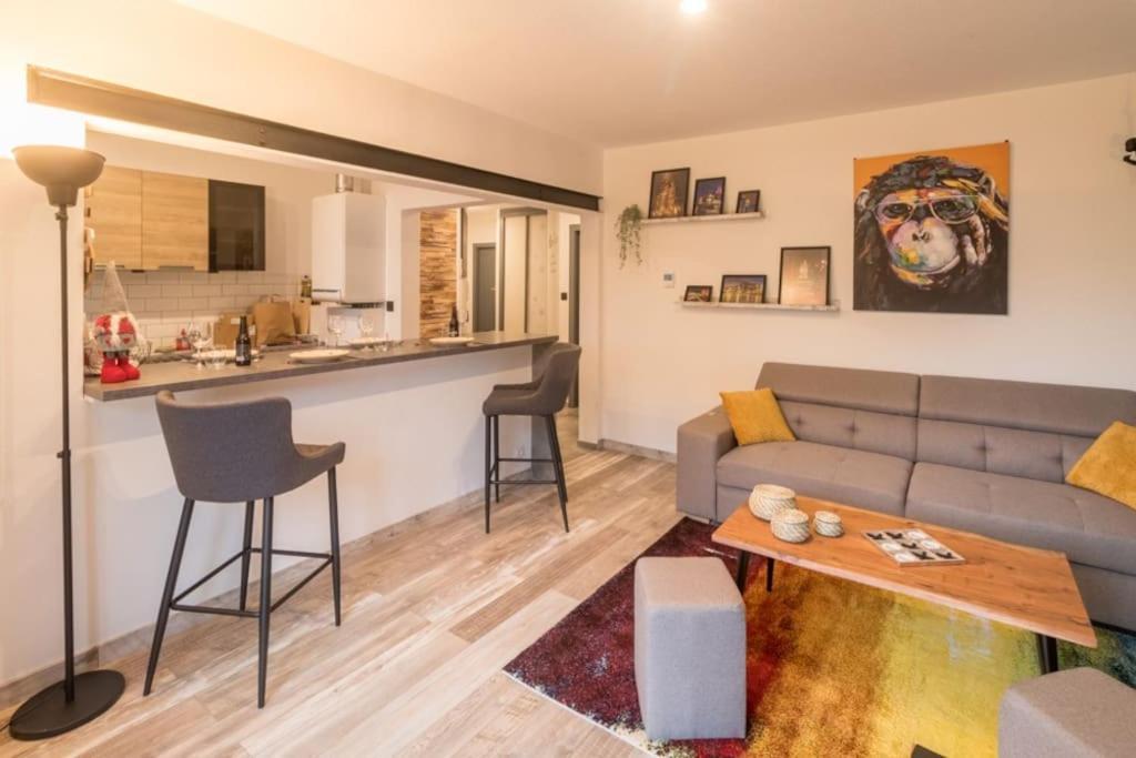 Appartement Le Saver'Zaru, Centre Ville, T2 55M² Saverne Luaran gambar